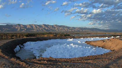 humedales-artificiales-three-transnational-wetlands