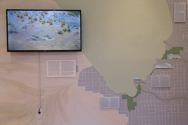 wetlands-of-lithium-valley