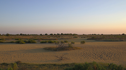 tulare-basin