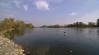 the-tulare-basin
