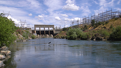 the-tulare-basin