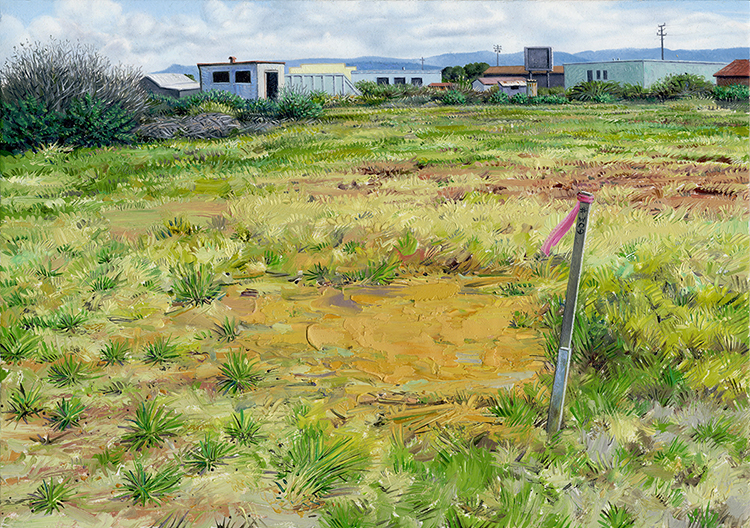 soil-sampling-area