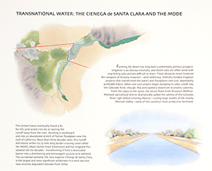 Transnational Water