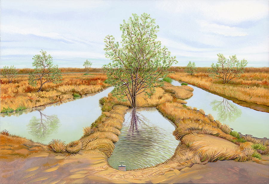 lithium-valley-wetlands