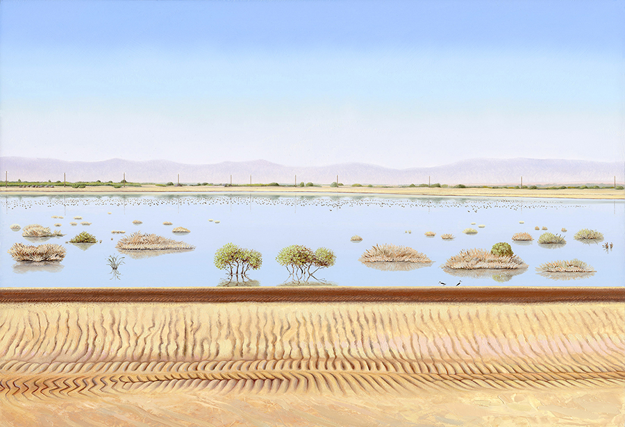lithium-valley-wetlands