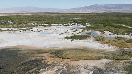 the-wetlands-of-lithium-valley