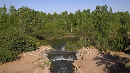 transnational-wetlands-still