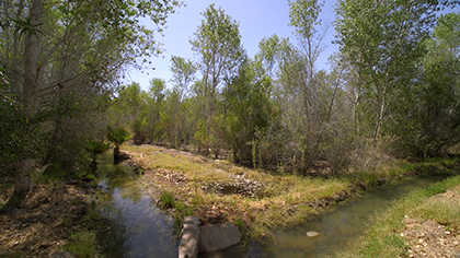transnational-wetlands-still